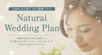 bridal_plan_